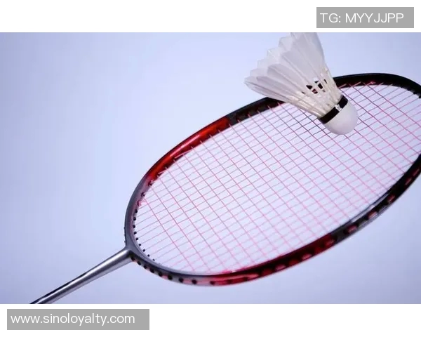 重庆羽毛球队战术分析：深度解读盯防打法的优势与应用