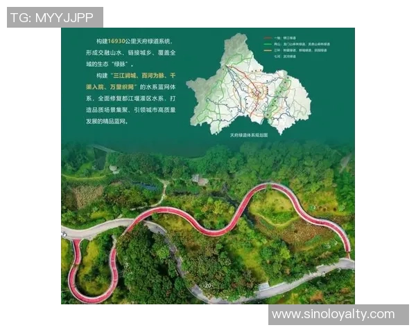 重磅专题：探秘成都排球队边路渗透战术的创新与发展