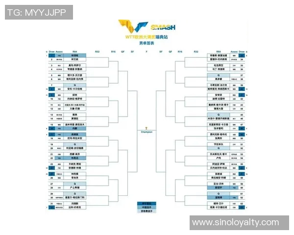 CCTV5直播德国对阵瑞典精彩赛事回顾与分析
