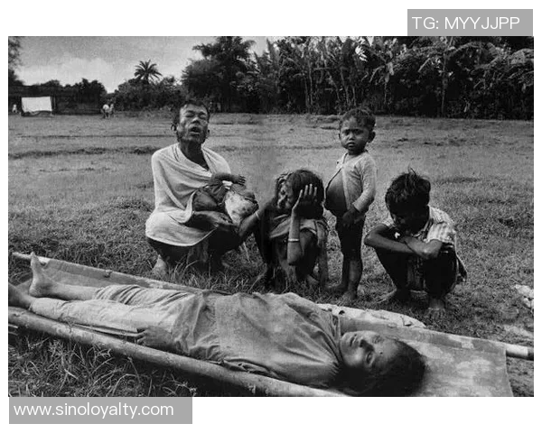 探索索博斯洛伊的历史与文化遗产,揭示其在现代社会中的重要性与影响力 探索索博斯洛伊的历史与文化遗产,揭示其在现代社会中的重要性与影响力