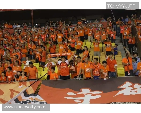 武汉卓尔迎战辽宁队全力争胜展现球队实力与斗志