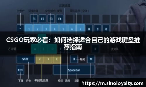 ac米兰官方网站